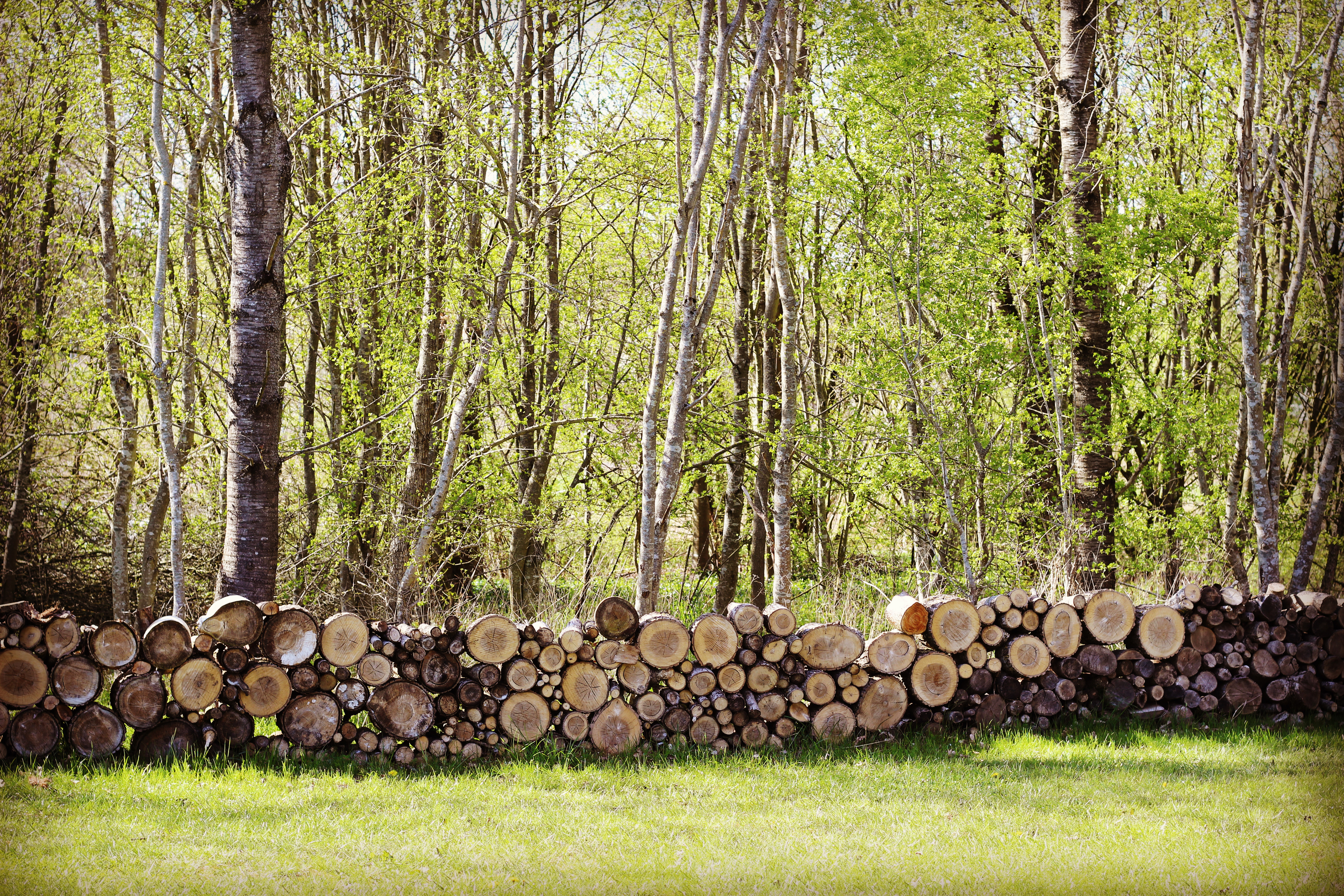 Haslev ving&aring;rd