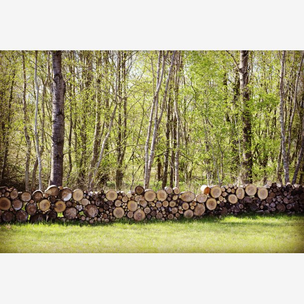 Vinmarksdagen 11. April 2026 - Dag + Aften