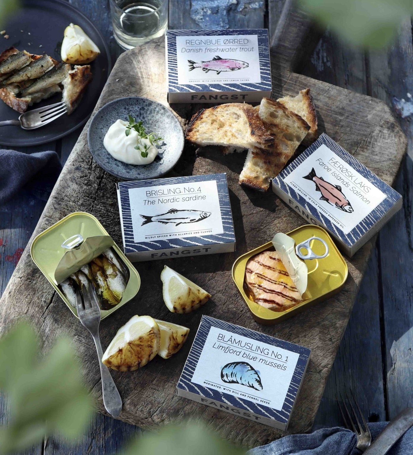 Fisk - Grøndal & Fangst