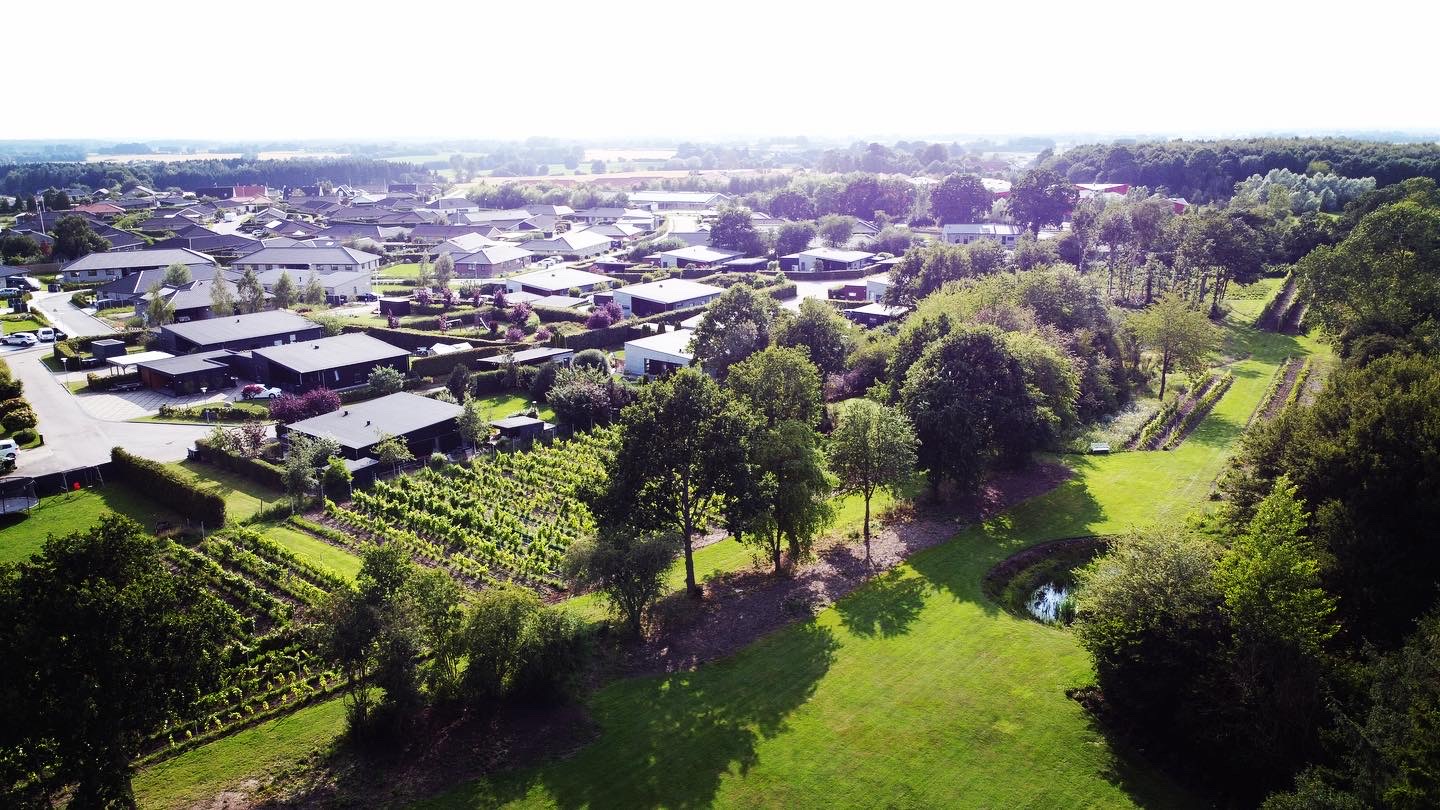 F&oslash;dselsdags Event