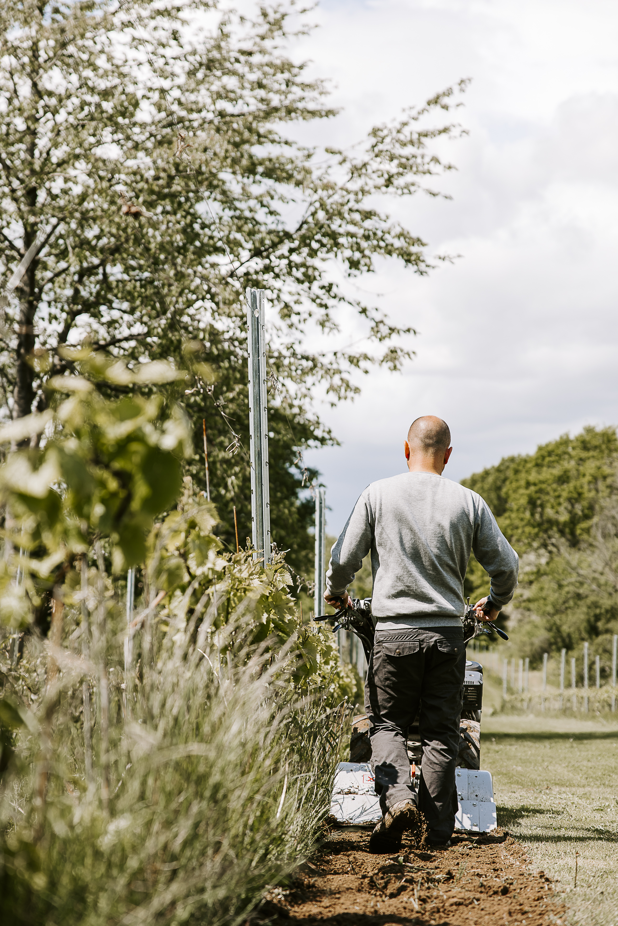 Events Haslev ving&aring;rd