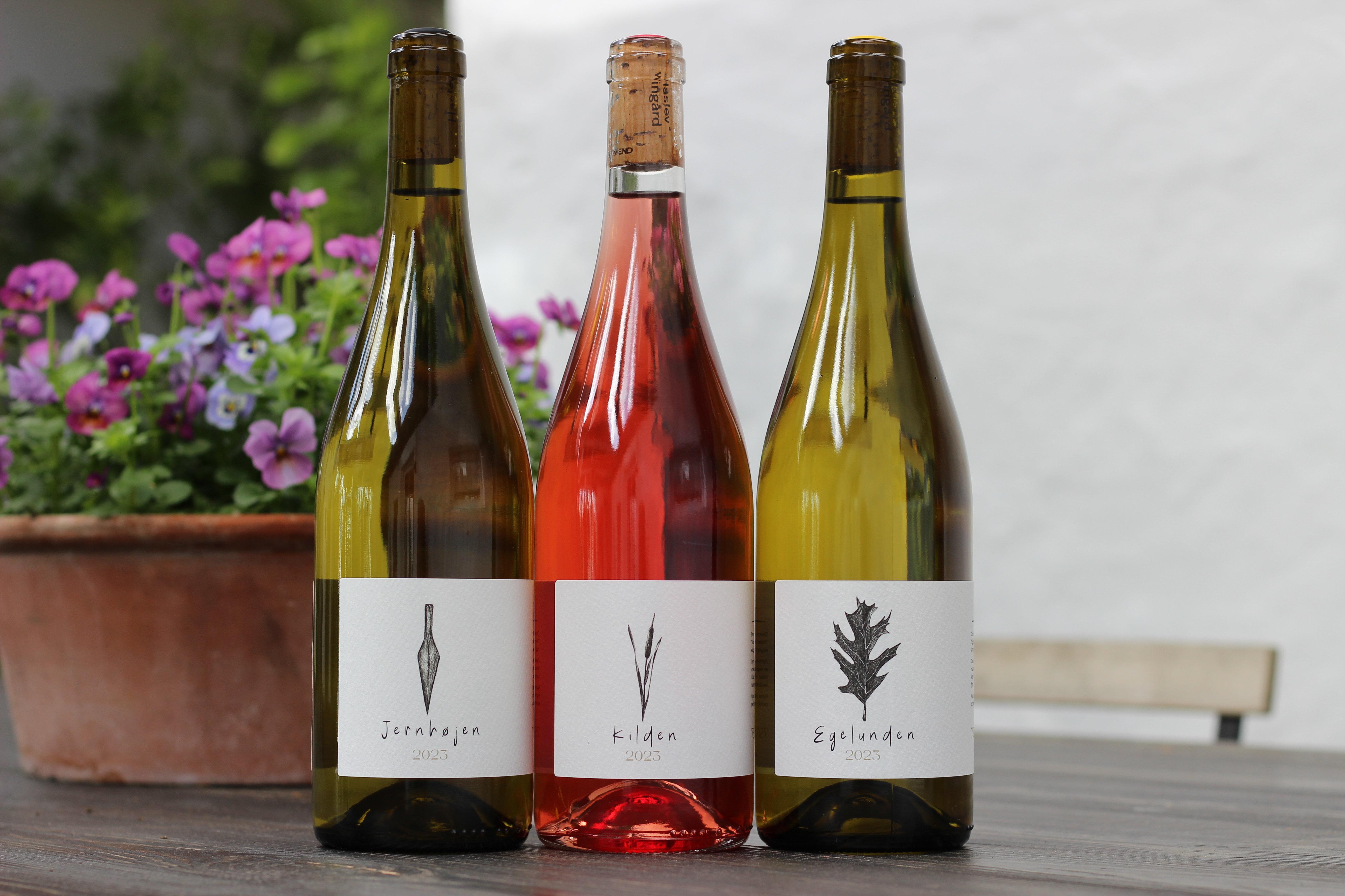 Vine - Haslev Vingård