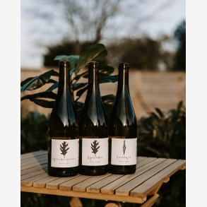 Smagekasse rgang 2024 - 3 flasker 75 cl