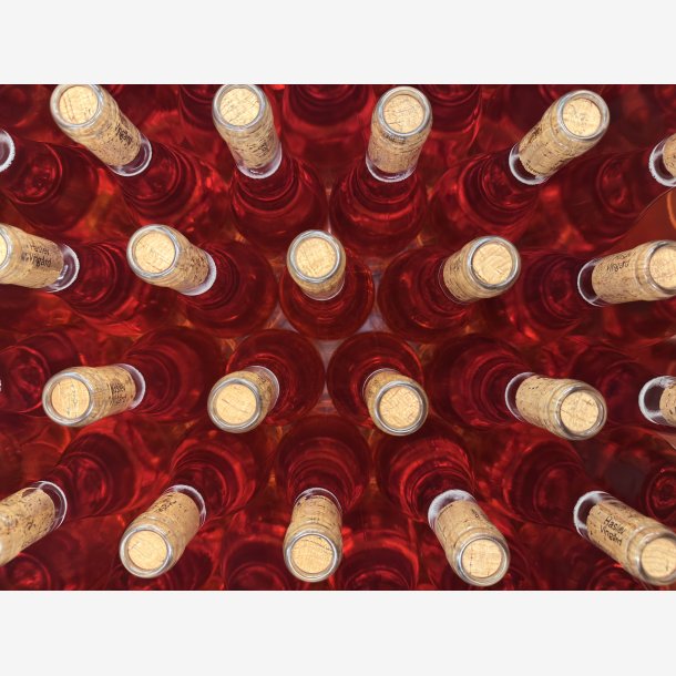 Forsalg Ros� Perlevin - Kilden 2025 75 cl