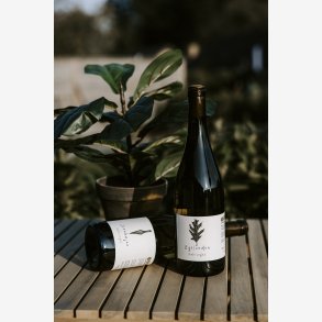 Smagekasse �rgang 2024 - 4 flasker 75 cl