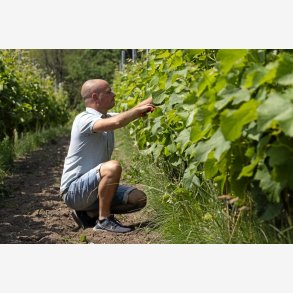 PRIMEUR SMAGNING - 10. April