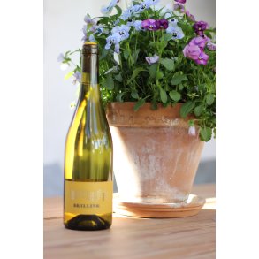 Skilling kologisk hvidvin 2023 75 cl.