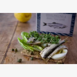 Brisling No. 4 - FANGST